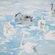 René LEVERD: Switzerland, Swans of Geneva, Original watercolor