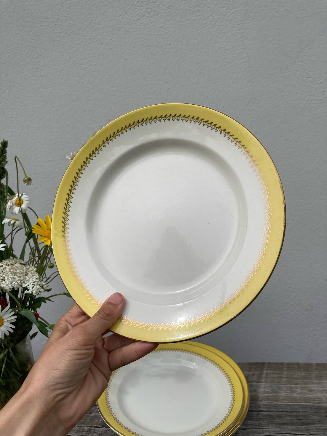 3 Biarritz Basque yellow plates
