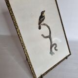 Original engraving of the early nineteenth century, Barbion with red back after Jacques Barraband (1806)