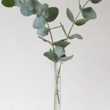 Transparent glass soliflore