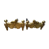 Brass chenets with lions