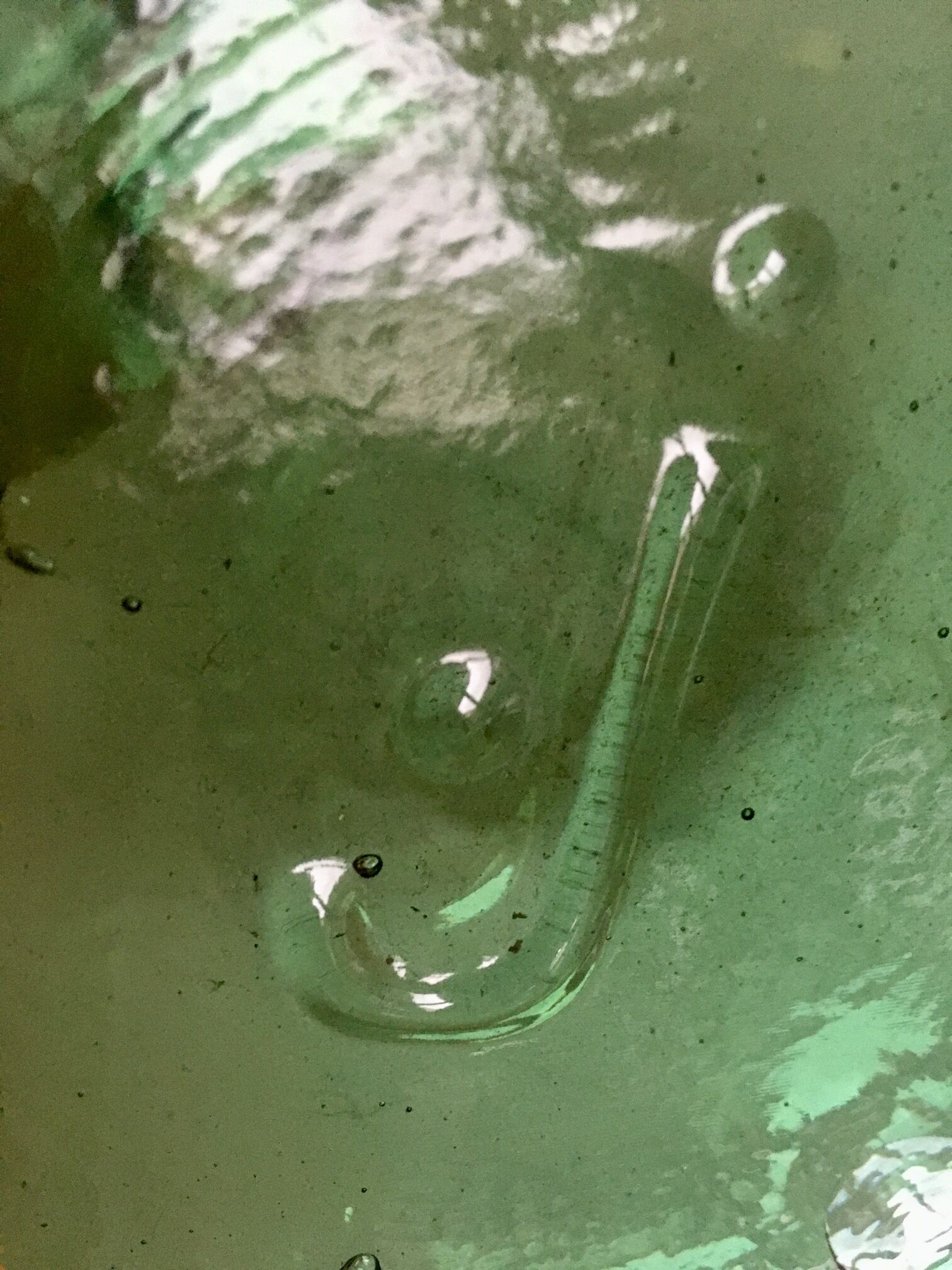 Dame-jeanne Viresa verte claire de 16L