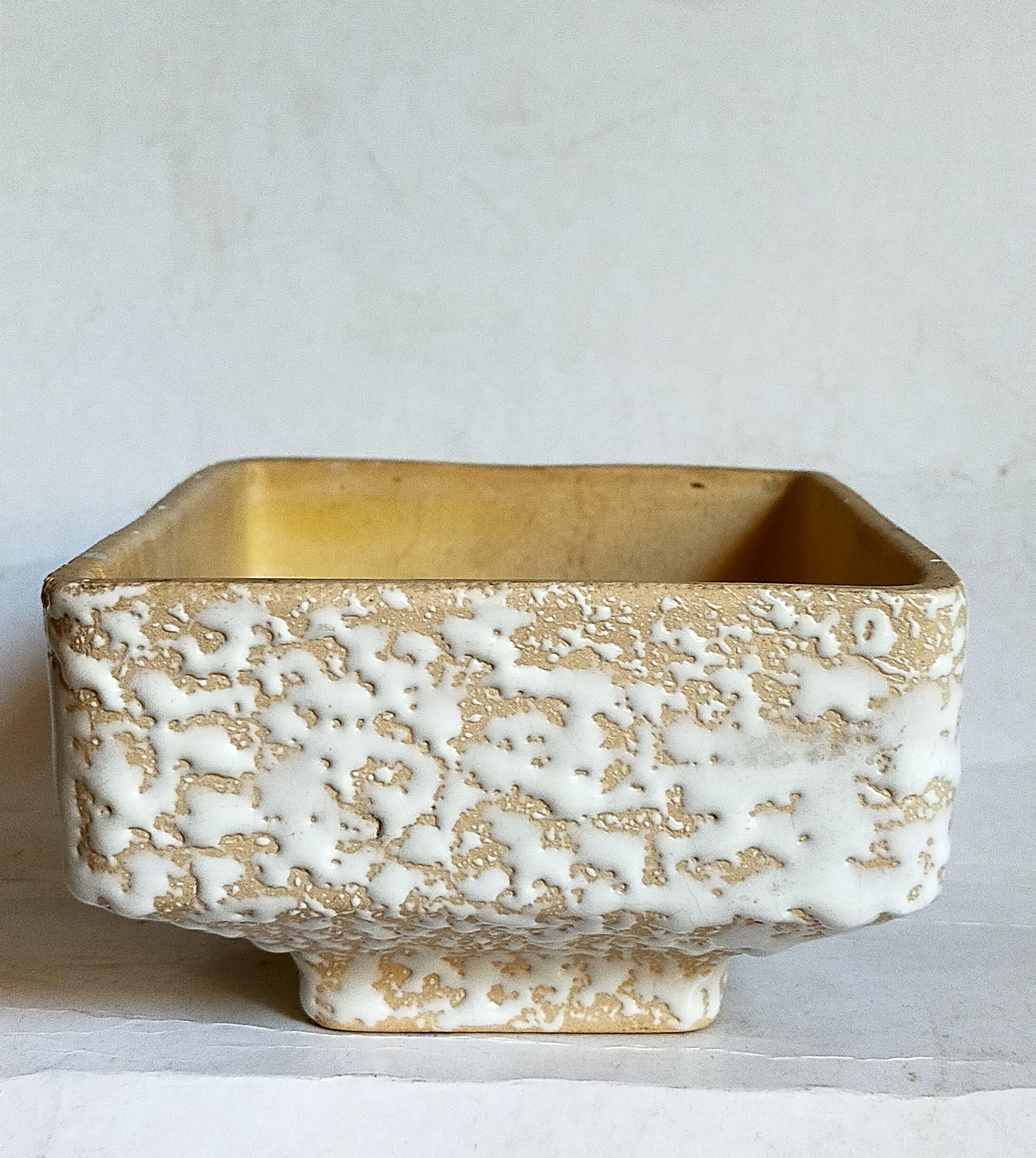 Ceramic cactus pot veter, west-germany model n° 64 with white foam