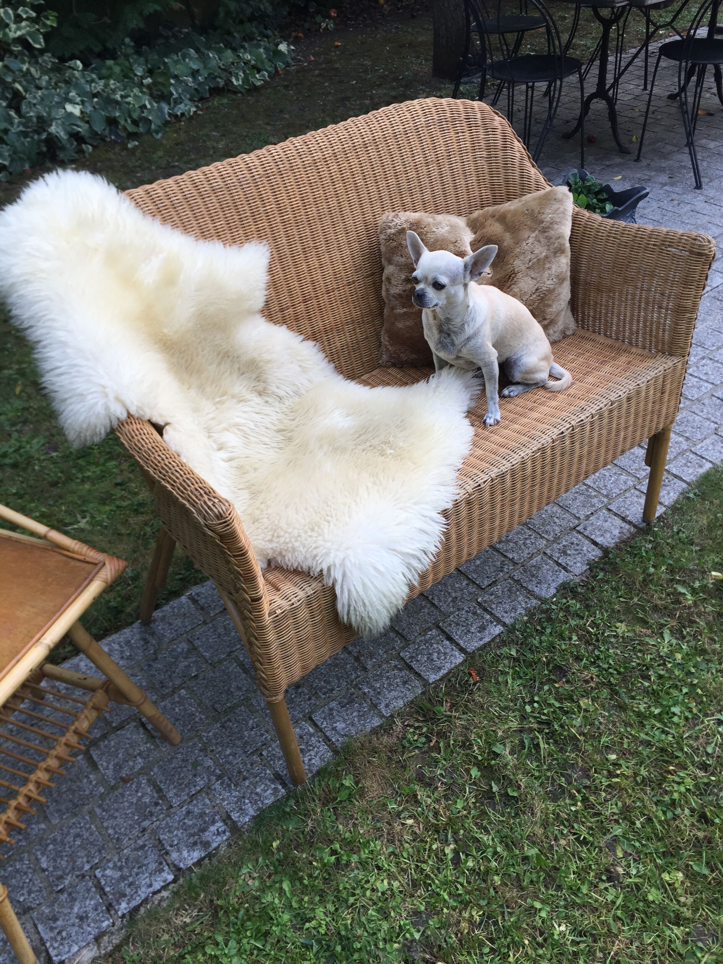 Banquette en bambou, rotin & osier adulte vintage