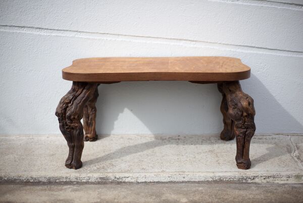 Table basse bois et pieds de vigne