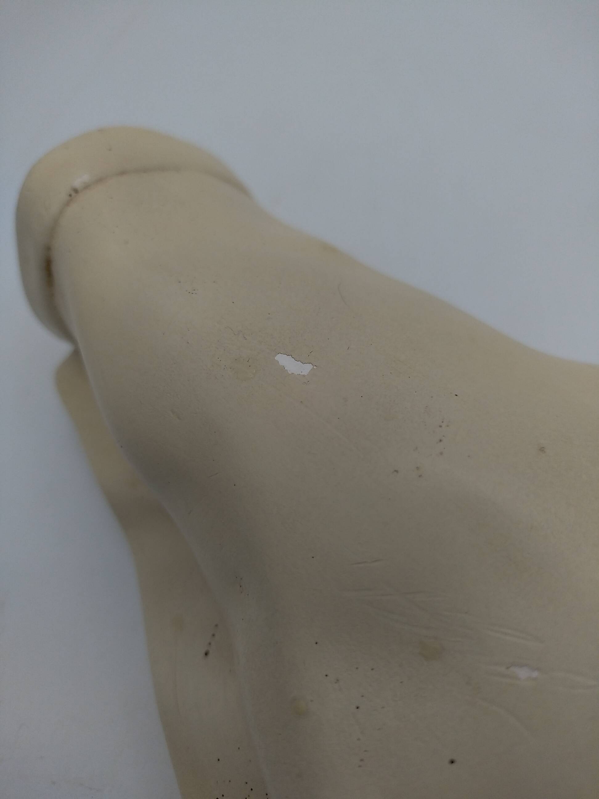 Plaster hand of Frédéric Chopin.