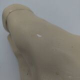 Plaster hand of Frédéric Chopin.