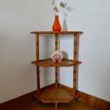 Rattan shelf