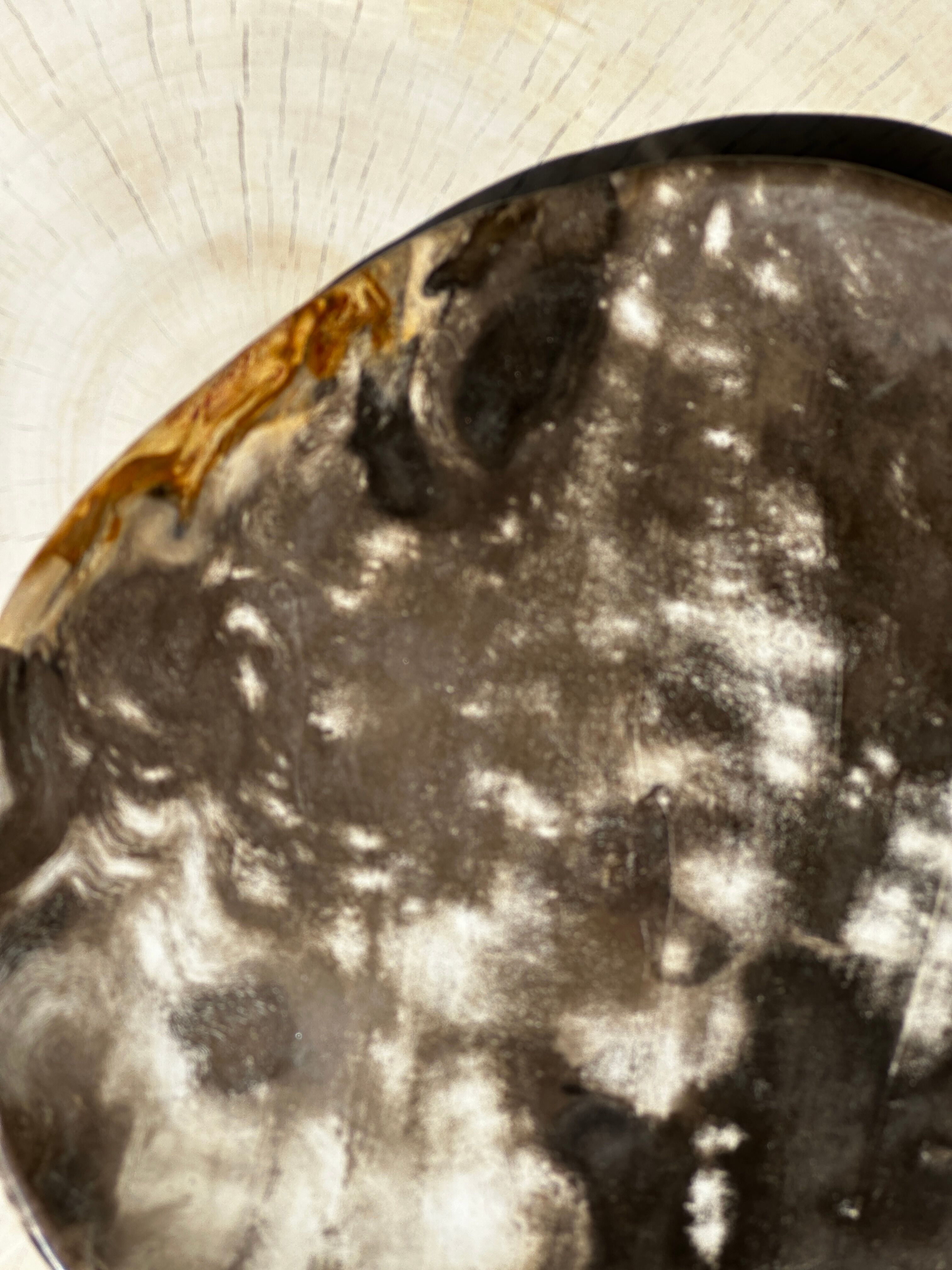 Dish in petrified wood