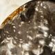 Dish in petrified wood