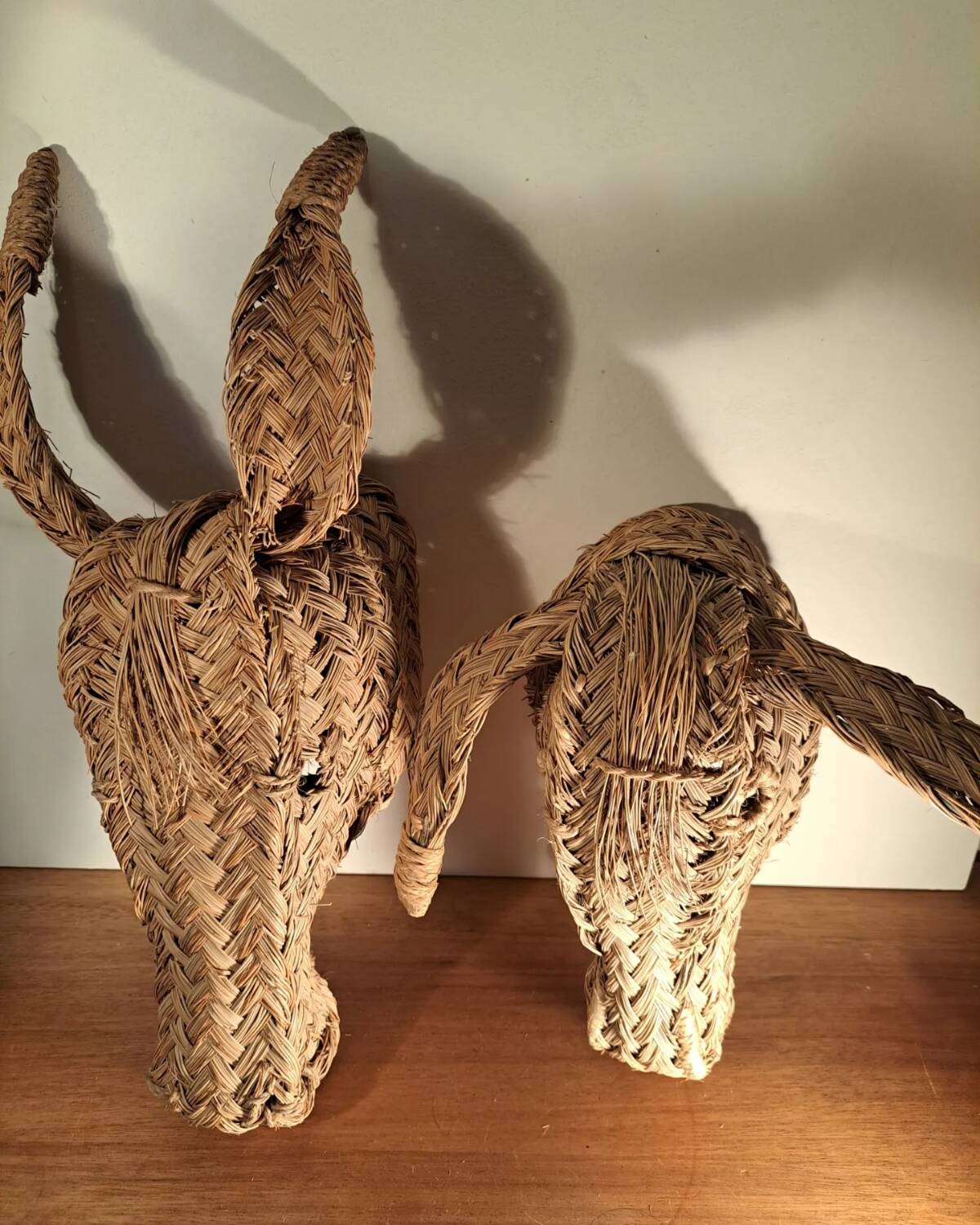 Wall decoration 2 seagrass animals