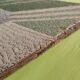 Large format handmade wall tapestry vintage