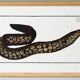Poster about the moray eel, based on an old engraving from 1746.