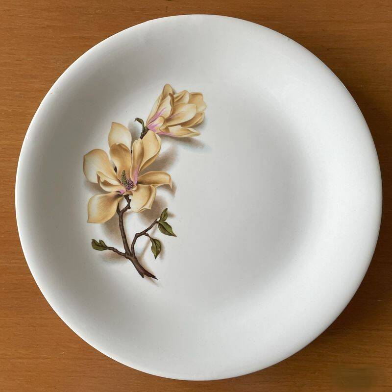 6 antique flat plates in Saint-Amand earthenware (Nord)