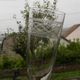 Set of 6 antique crystal champagne flutes. Engraved frieze.