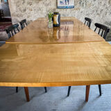 Scandinavian table teak and lemon tree Italian extensions