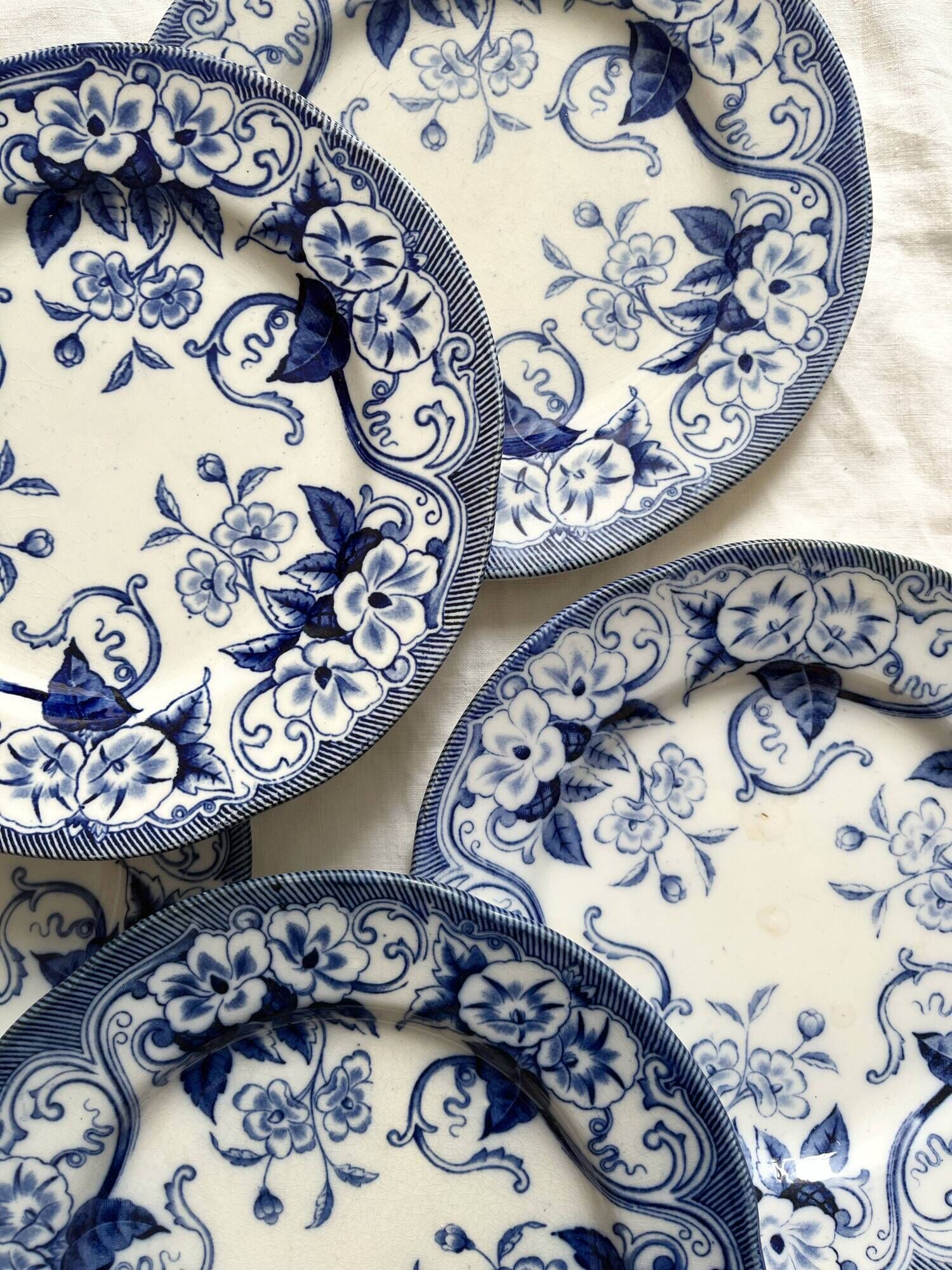 6 dessert plates in iron earth Flora, Creil and Montereau late nineteenth