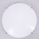 Large Plafo Ceiling Lamp by Östen Kristiansson for Luxus