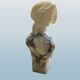Bust, young woman, Marble and alabaster, G Pugi