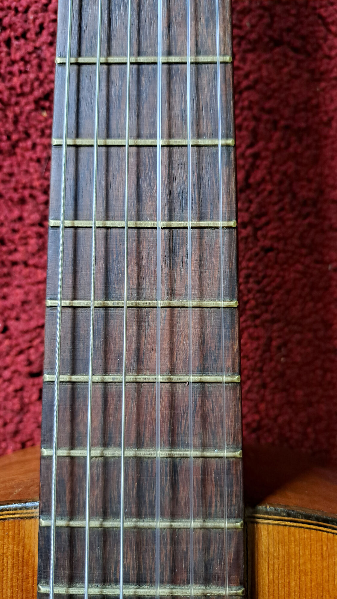 Guitare vintage sicilienne s.groi silvestri 1950s/60s