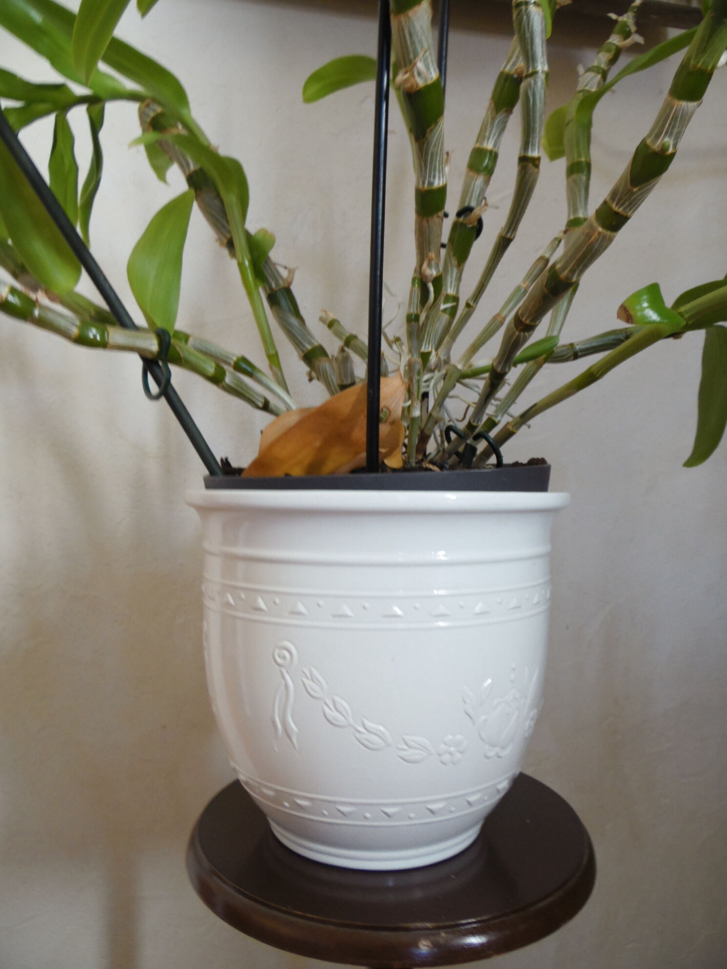 White cermal pot cache Scheuric W Germany