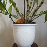White cermal pot cache Scheuric W Germany