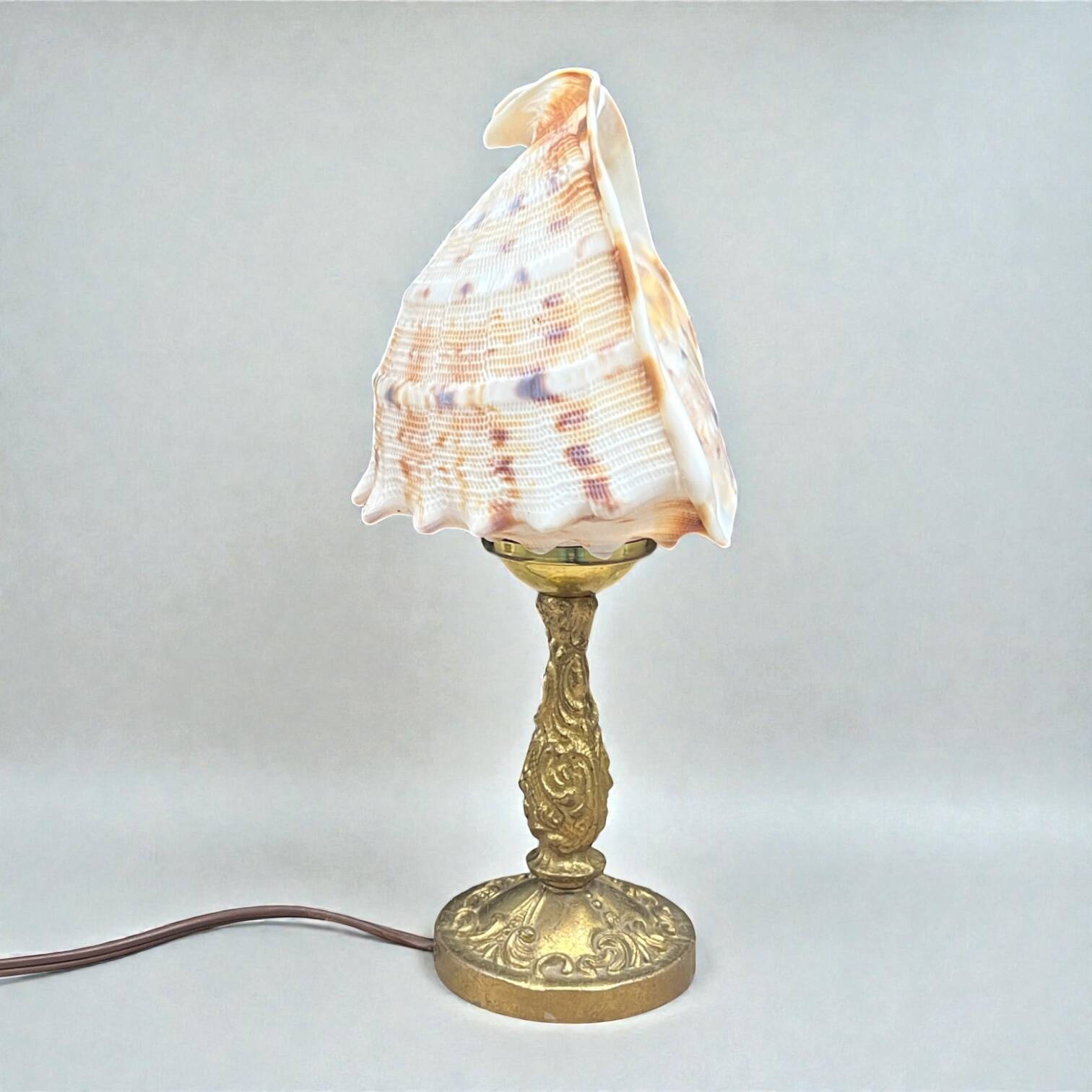 Cassis Cornuta shell lamp on a bronze base - Shell nightlight