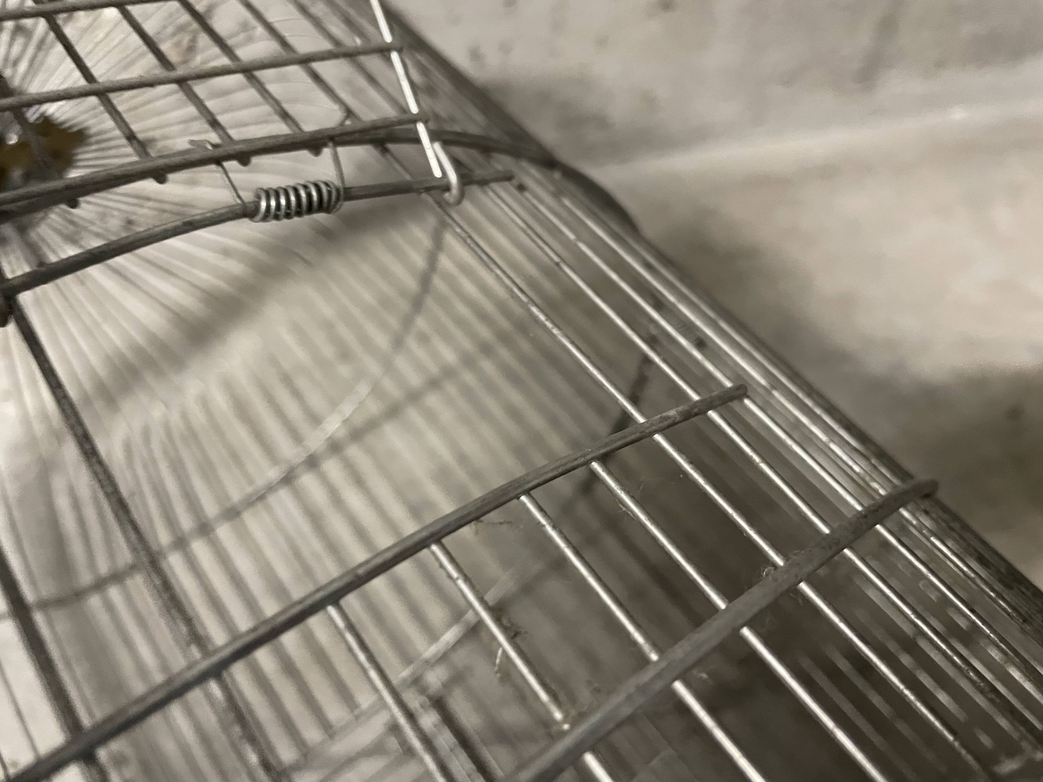 50s bird cage