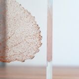 Presse papier en résine avec inclusion d'une feuille d'arbre, années 70