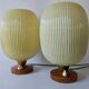 Rare Pair of Table Lamps, Glass and Wood, 1960s
