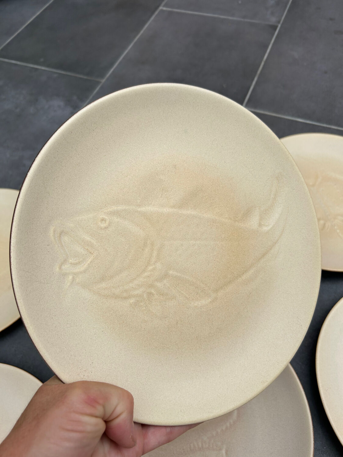 12 plates and stoneware saucière Fish