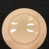 Faience St Amand dabbling plate