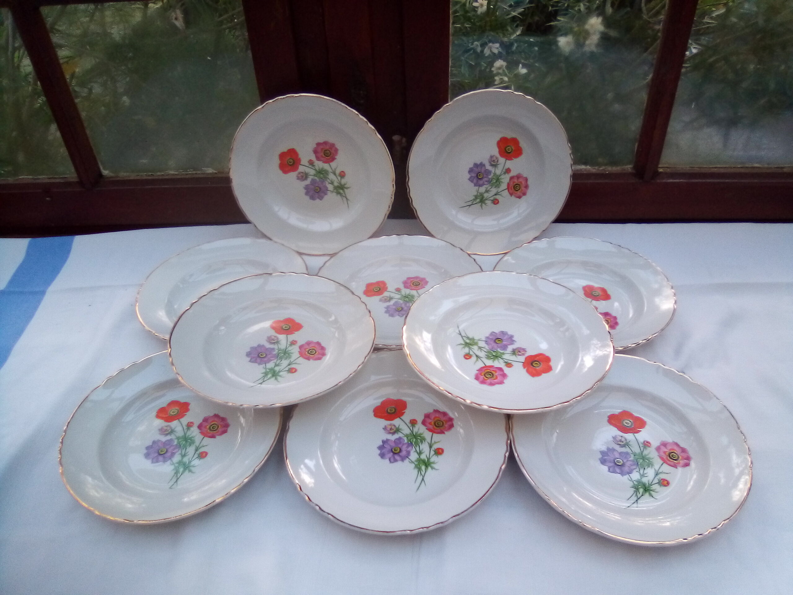 10 hollow plates Beaulieu / Moulin des loups