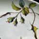 Decorative dish in Limoges porcelain, hand-painted decoration – late 19th century