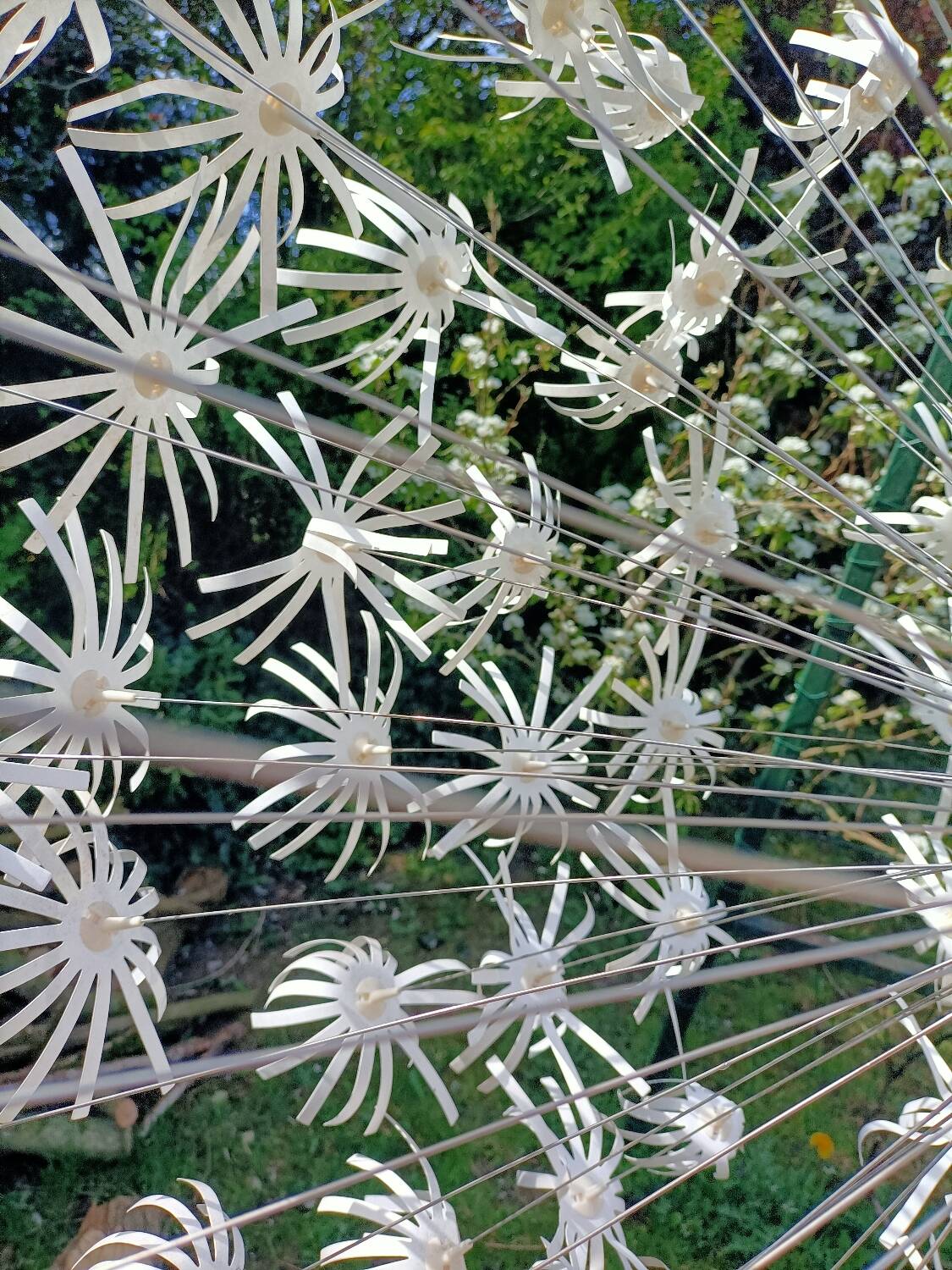 Dandelion pendant light
