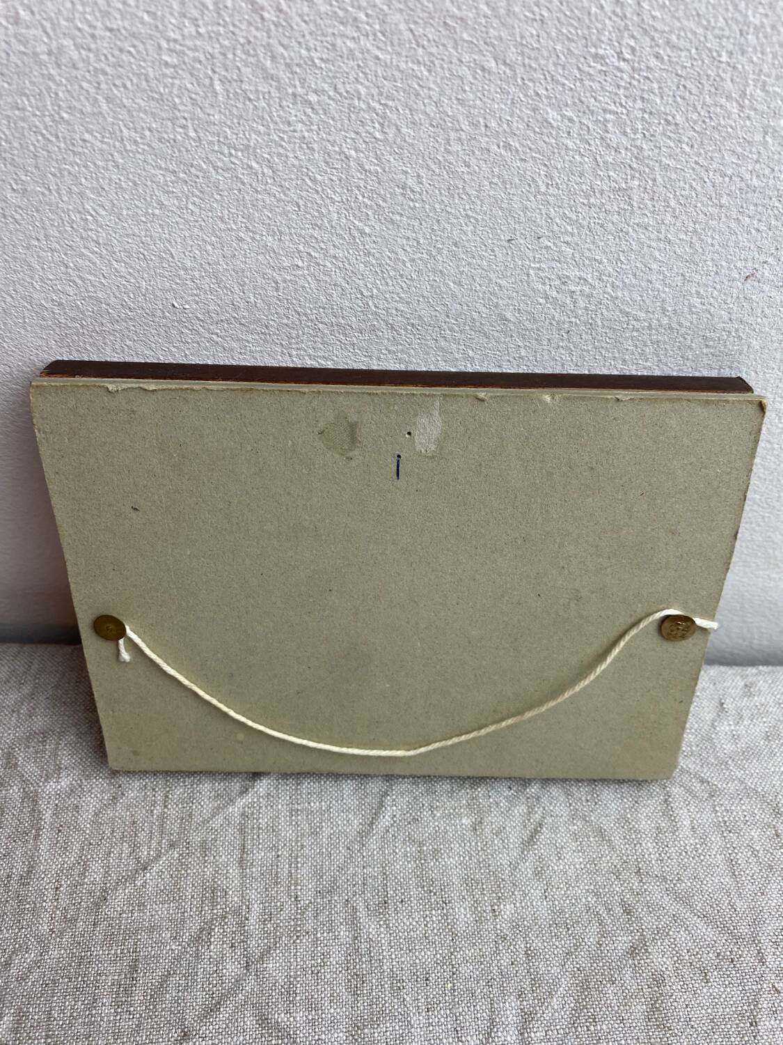 Naturalized butterfly frame under glass