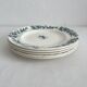 5 old flat ironstone plates “Cyrano” Longwy