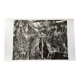 Aerial photo Lapie year 1950
