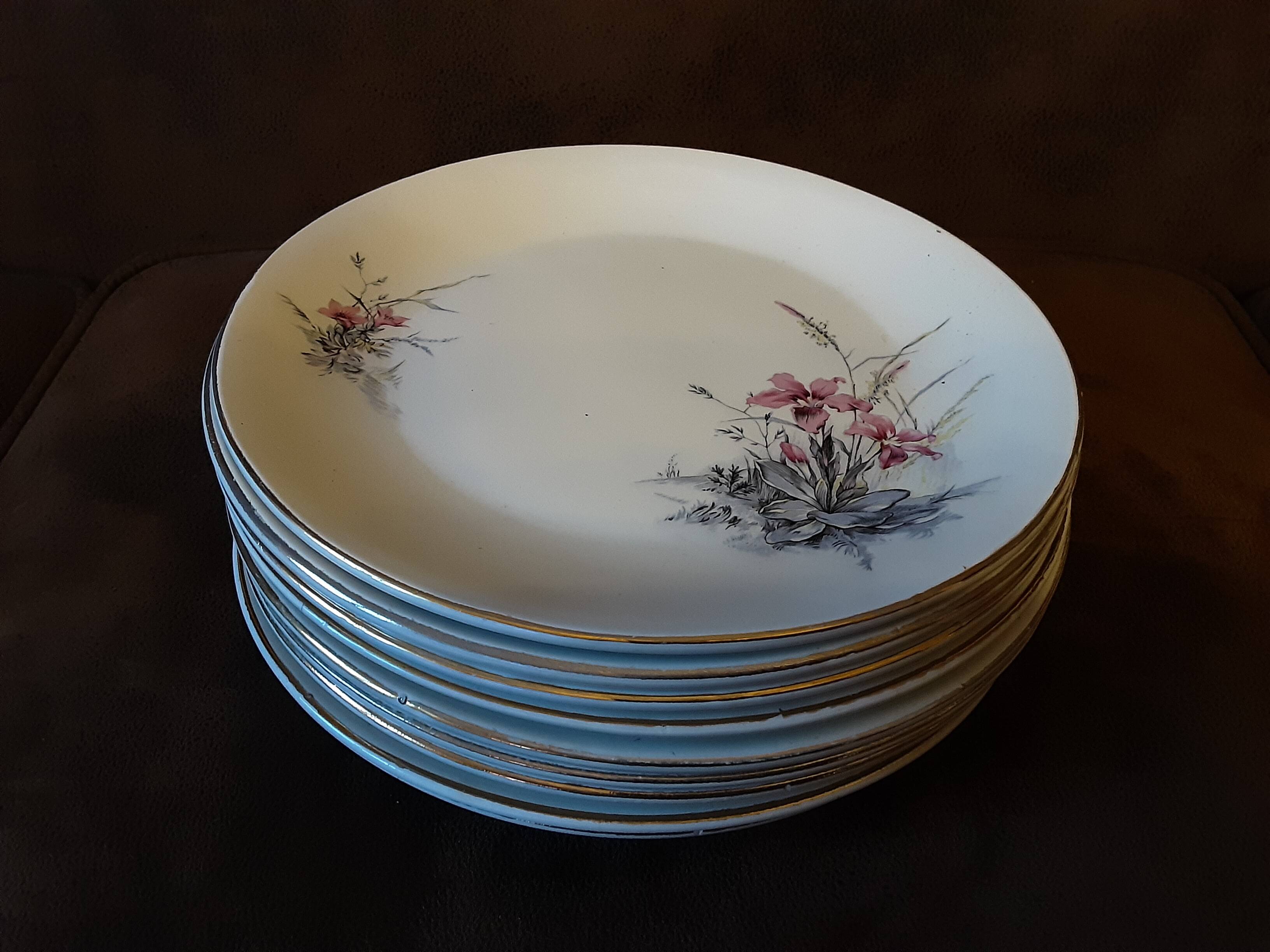 Set of 9 Digoin Sarreguemines dinner plates