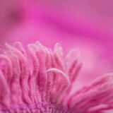 Carpet Moroccan 300x195cm