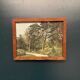Mid Century Oil On Canvas “Forest” By Unknown Artist Vintage & Framed – 37 × 30 Cm (14.5"X12" )