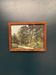 Mid Century Oil On Canvas “Forest” By Unknown Artist Vintage & Framed – 37 × 30 Cm (14.5"X12" )