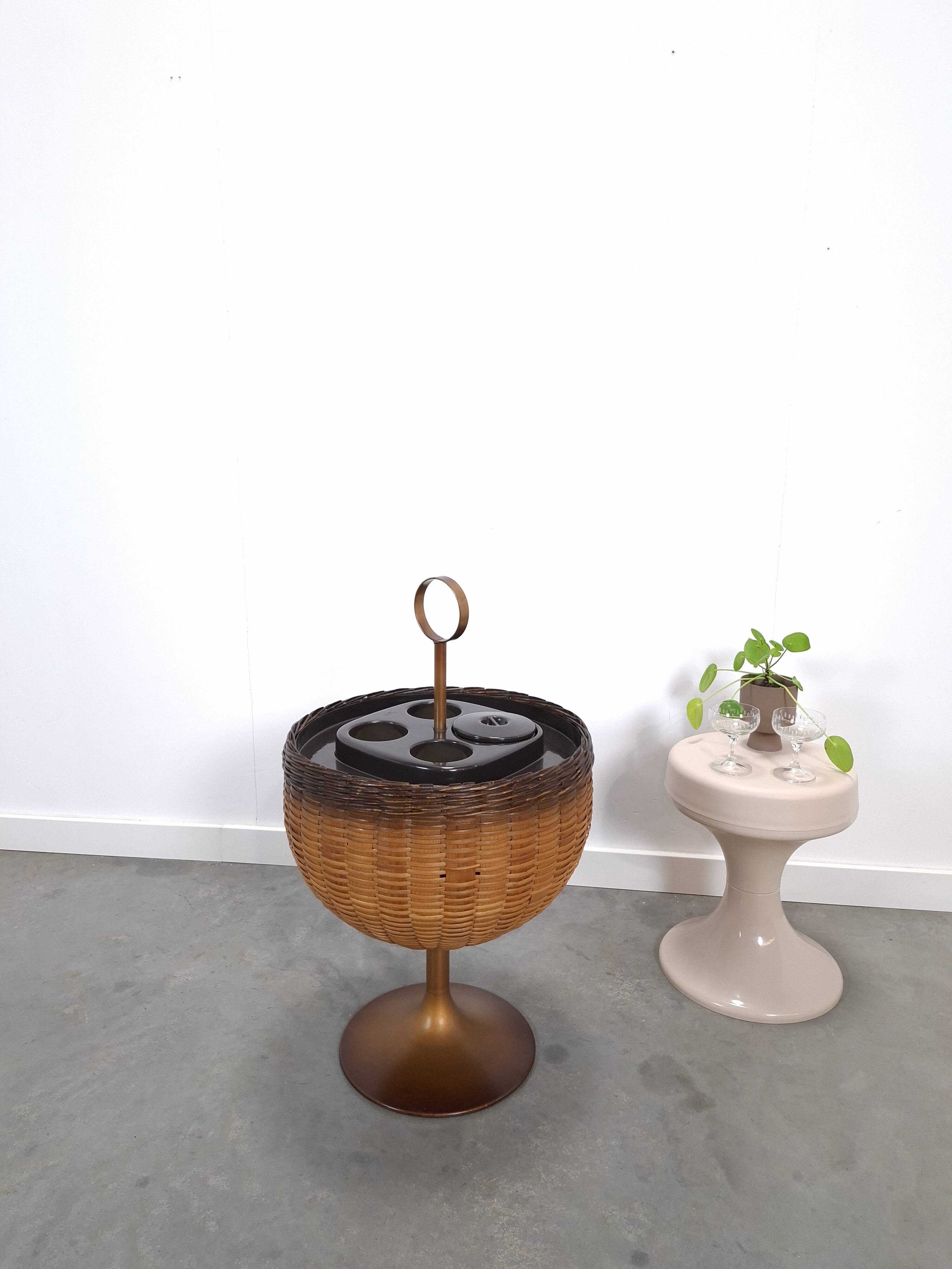 Draagbare bar, wijnkoeler met rotan en kunststof