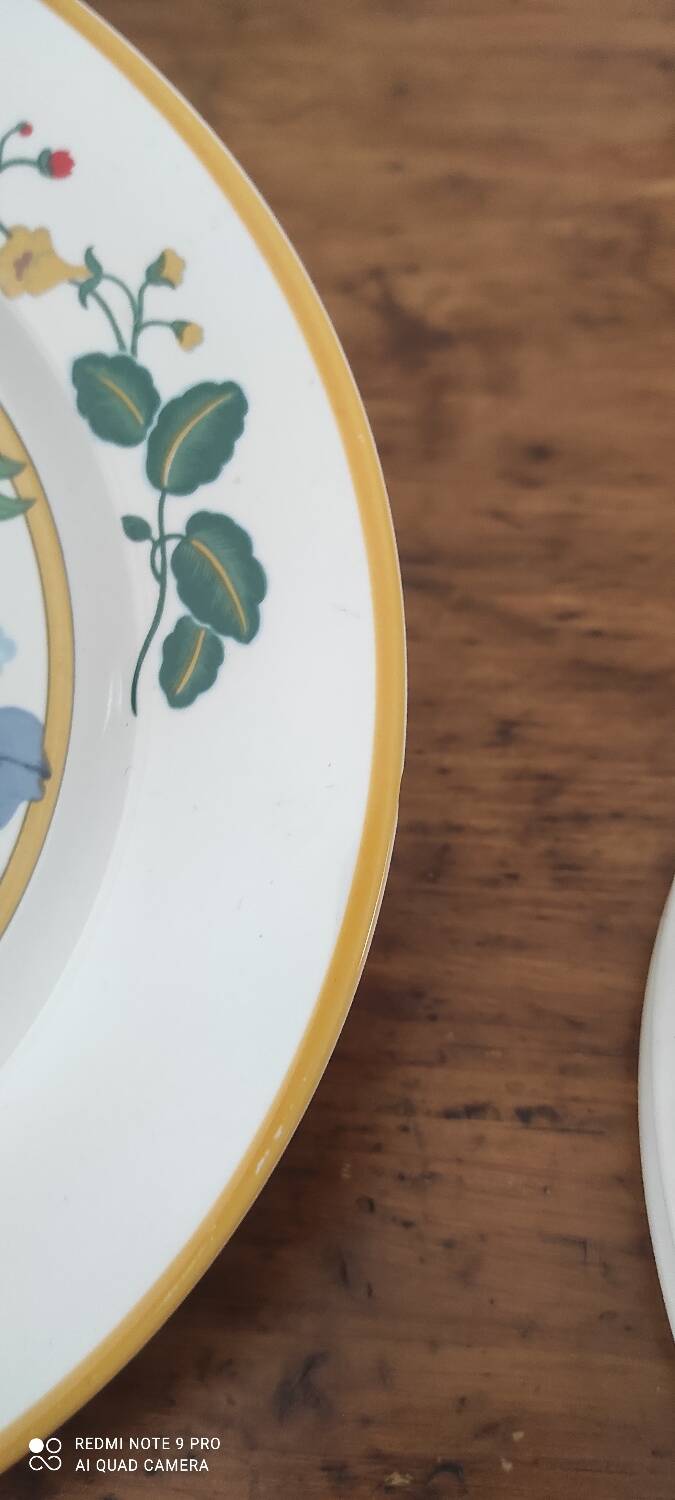 Lot assiettes Ara