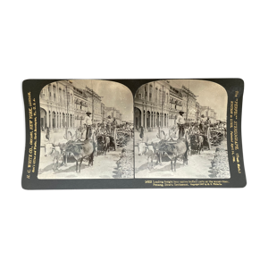 Photographie ancienne stereo, stereograph,
