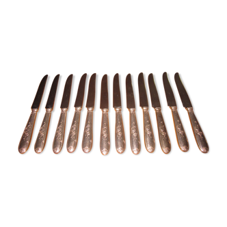 12 silver metal knives