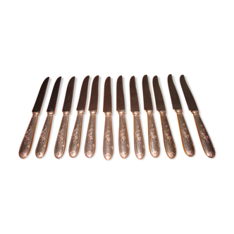 12 couteaux en metal argenté