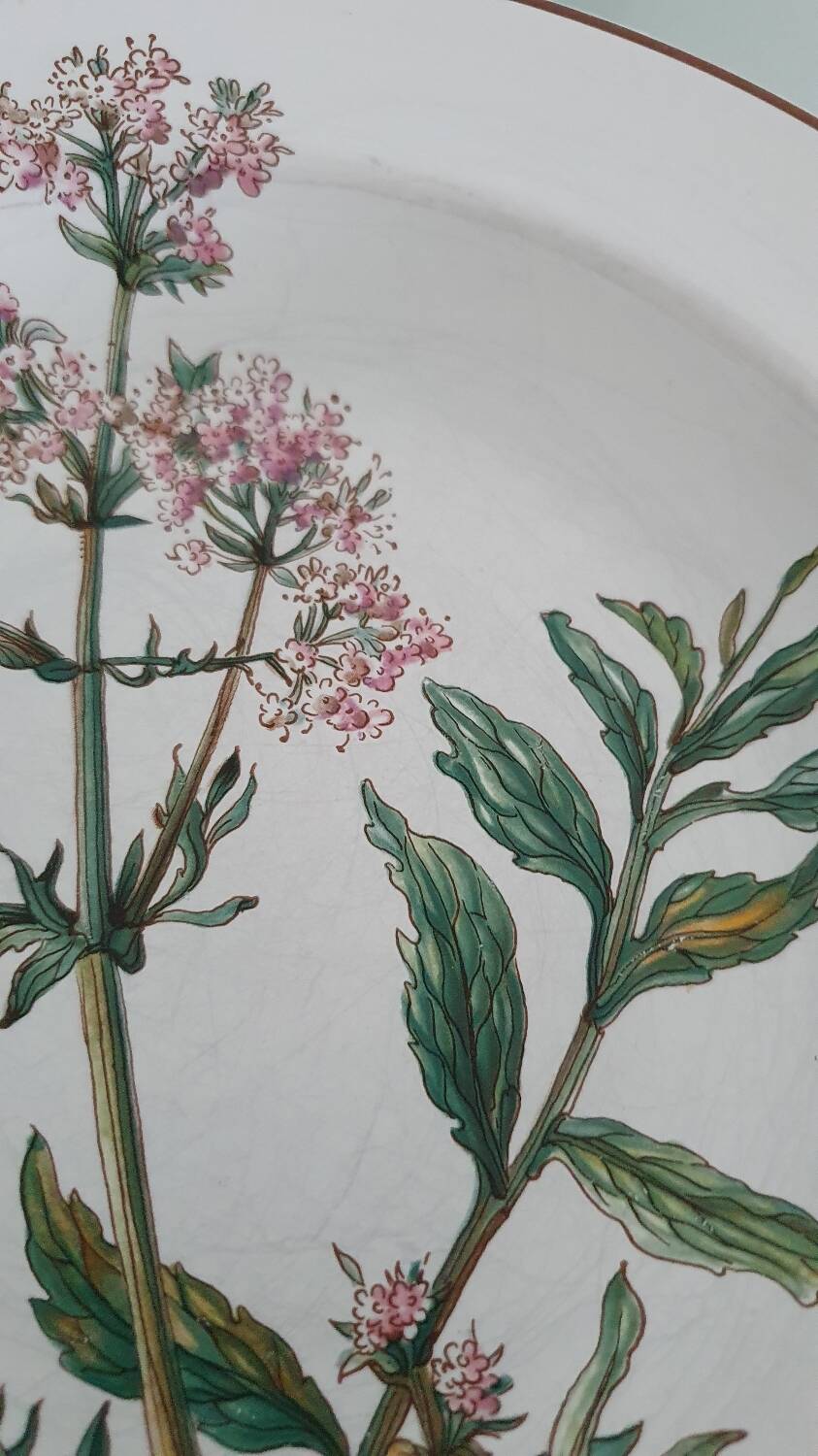 Set of 4 Villeroy and Boch plates, Botanica collection