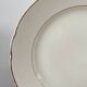 Villeroy and Boch dinner plate set