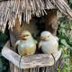 Numbered ceramic birds